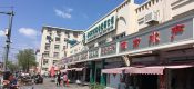 小舟从此逝 江海寄余生