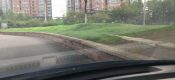 代步车